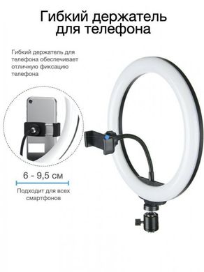 Кільцева LED лампа YQ-320B (30см) з утримувачем телефону для бьюті селфі зйомки Ring Light, Білий