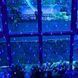 Гірлянда світлодіодна Сітка 200 LED 3х2м Синій