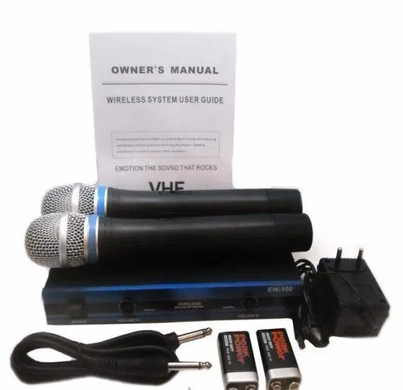 Бездротовий комплект із 2-х мікрофонів DM EW-100 радіосистема