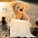 Интерактивная игрушка говорящий Мишка Пикабу Peekaboo Bear