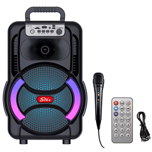 Беспроводная караоке колонка с микрофоном, пультом и RGB-подсветкой ZQS8166W