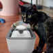 Поїлка для тварин Pet Water FOUNTAIN Автоматична напувалка - фонтан, Білий