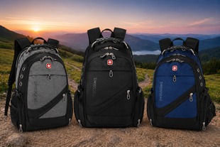 Рюкзак, швейцарский рюкзак, SwissGear 8810, туристический рюкзак, рюкзак для ноутбука