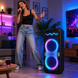Портативная акустика ZXX-1510 / Караоке колонка 100Вт / Переносная акустическая колонка с LED подсветкой + 2 микрофона / Двойная 10-дюймовая акустическая переносная колонка