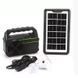 Портативная cолнечная автономная система Solar Light DT-9018 панель походны фонарь радио повербанк, Черно-зелёный