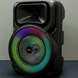 Беспроводная караоке колонка с микрофоном и RGB-подсветкой ZQS8147