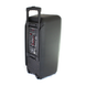 Портативная колонка Su-Kam 1010 + 2 микрофона + BT 12v220v