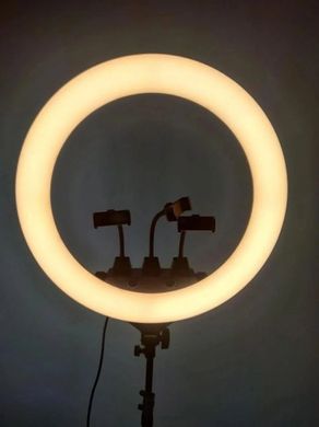 Професійна кільцева LED лампа SLP-G63 з 3 тримачами, пультом, діаметр 55 см зі штативом