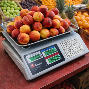 Весы ACS 50kg/5g CK 982S Metal DOMOTEC