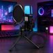 Конденсаторный микрофон Yanmai SF666R USB с RGB-подсветкой