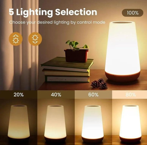 Ночник настольный светильник для дома аккумуляторный Pat light HA-114 с пультом