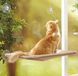 Лежанка для кота віконна Sunny Seat Window Cat Bed, Бежевий