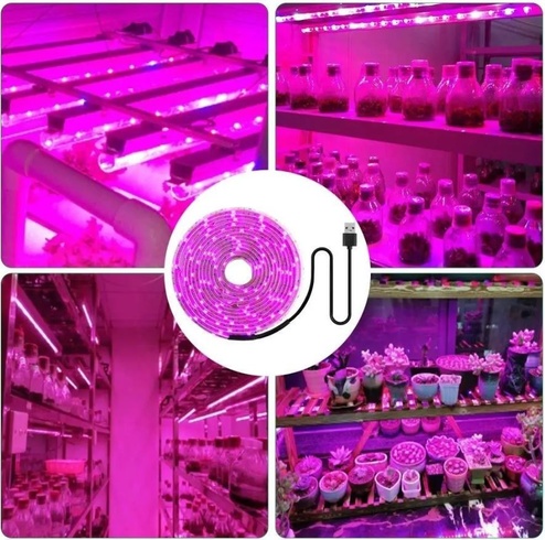 Светодиодная Фитолента для комнатных растений с 5V USB 2835 Фитолампа полный спектр от GrowLight 5 Метра