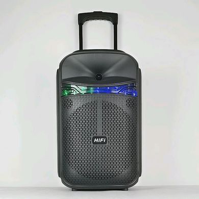 Музична колонка-радіо колонка з підсвідченням BLUETOOTH RX-8188 1200 ВТ із мікрофоном, Черный