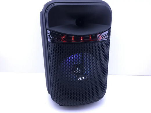 Музична колонка-радіо колонка з підсвідченням BLUETOOTH RX-8188 1200 ВТ із мікрофоном, Черный