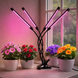 Светодиодная фитолампа Grow Light для выращивания растений, рассады Полный спектр 4 головы