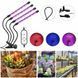 Светодиодная фитолампа Grow Light для выращивания растений, рассады Полный спектр 4 головы