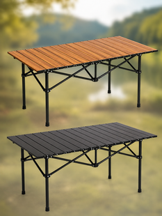 Стол складной 120x55x50 см в чехле / Туристический раскладной компактный стол