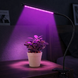 Світлодіодна фітолампа Grow Light для вирощування рослин, розсади Повний спектр 1 голова