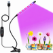 Світлодіодна фітолампа Grow Light для вирощування рослин, розсади Повний спектр 1 голова