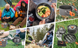 Набор туристической посуды Camping cooking со столовыми приборами 10 в 1  / Набор посуды для похода, пикника и рыбалки