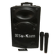 Портативна колонка Su-Kam BT 100D + 1 бездротовий мікрофон (12v/220v)