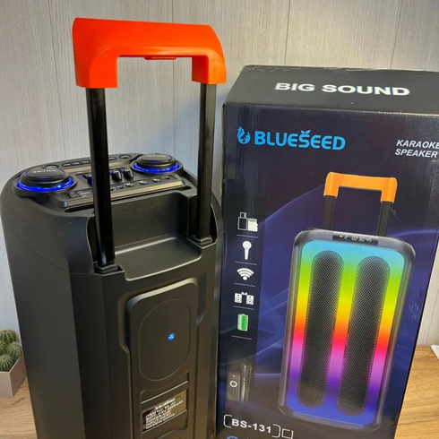 Колонка Bluetooth Wireless Speaker TTD-2820