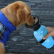 Дорожня пляшка, напувалка для собак Aqua Dog 550 мл, Блакитний