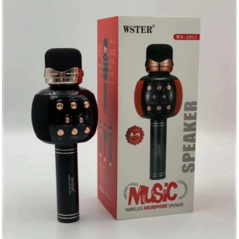 Бездротовий караоке мікрофон з динаміком 5 тембрів USB AUX FM Wster WS-2911