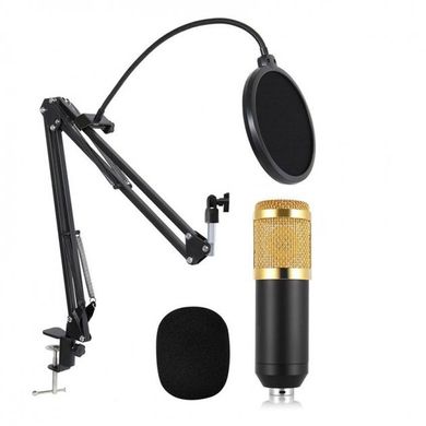 Студийный микрофон Music M-800U со стойкой и ветрозащитой