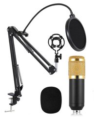 Студийный Микрофон студийный M-800, профессиональный микрофон