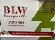 Гелевий тяговий акумулятор BLW 12V 100ah GEL