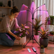 Светодиодная фитолампа Grow Light для выращивания растений / Фитолампа для комнатных растений на штативе с пультом таймером