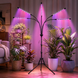Светодиодная фитолампа Grow Light для выращивания растений / Фитолампа для комнатных растений на штативе с пультом таймером