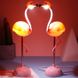Настольный светильник ночник "Фламинго" Led Lucia / Светодиодный ночник / Детская лампа, Розовый
